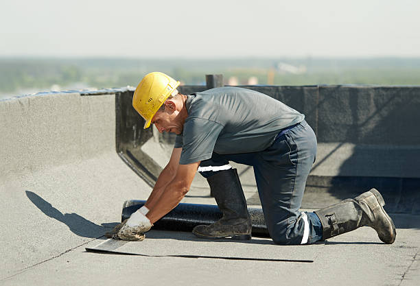 Best Spray Foam Insulation  in Kent City, MI